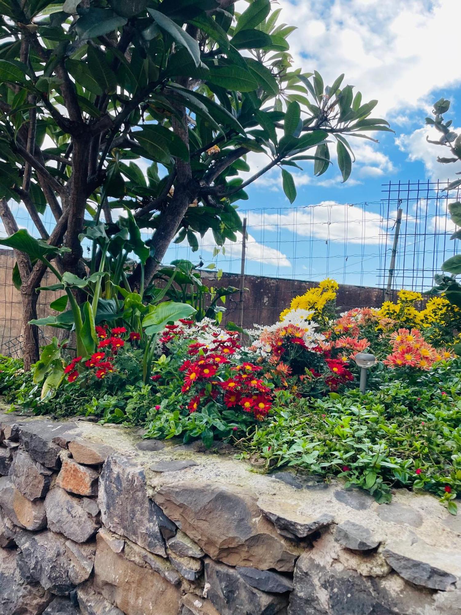 Cozy House Hotel ฟุงชาล ภายนอก รูปภาพ